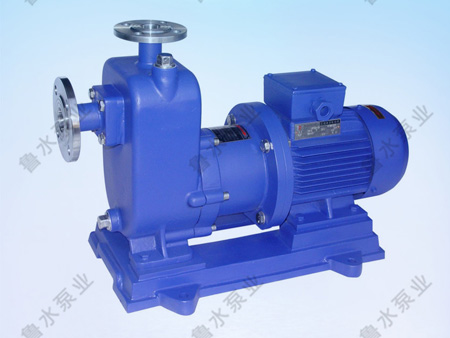 ZW自吸無(wu)堵塞排污(wu)泵