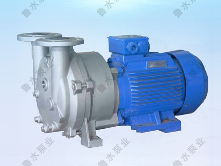 2BV水環式真空(kōng)泵