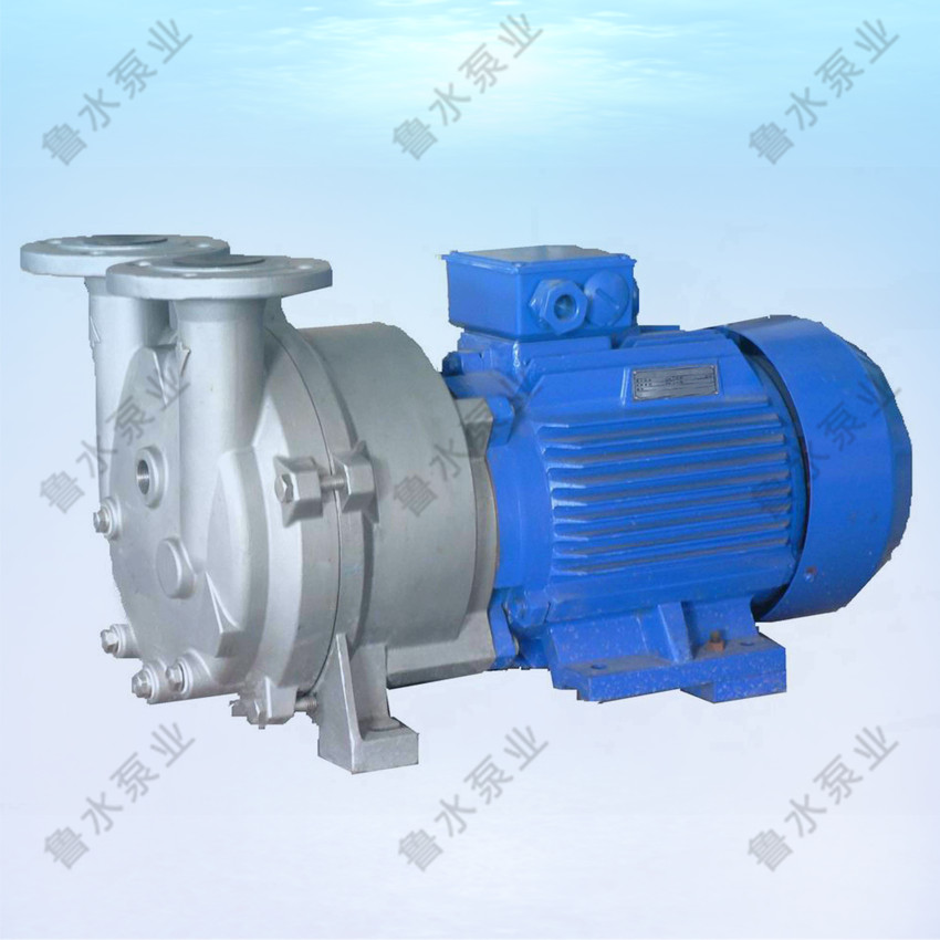 2BV水環(huan)式真空泵