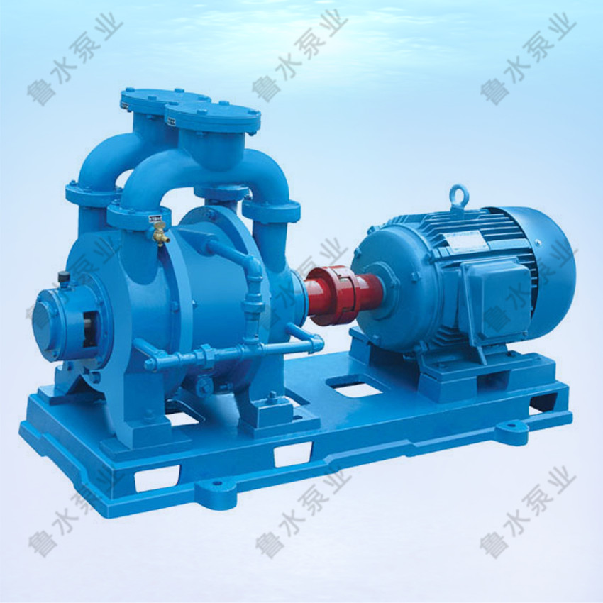 SK系(xi)列水環式真空泵(bèng)