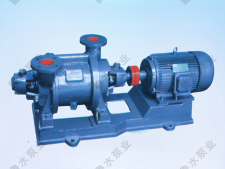 SZ系列(lie)水環式真(zhen)空泵